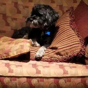 Meet your Posher, Mary